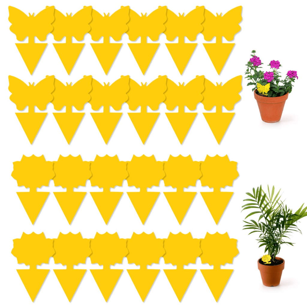 How to Choose the Right Sticky Insect Trap? 2 yellow sticky traps
