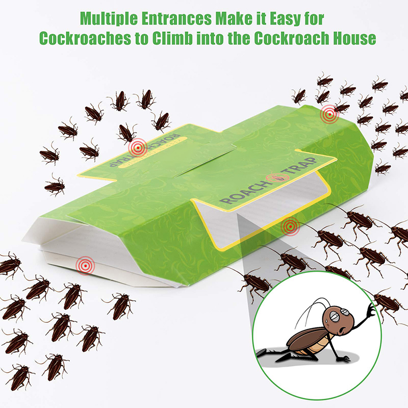 Effective Indoor Cockroach Traps: How to Use Sticky Traps Safely and Efficiently 1 Cockroach trap 3