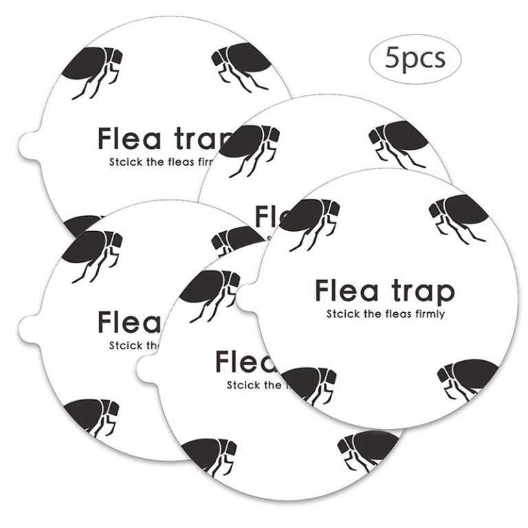 Flea Hazards Explained: How to Effectively Eliminate Fleas Using Traps and Lures