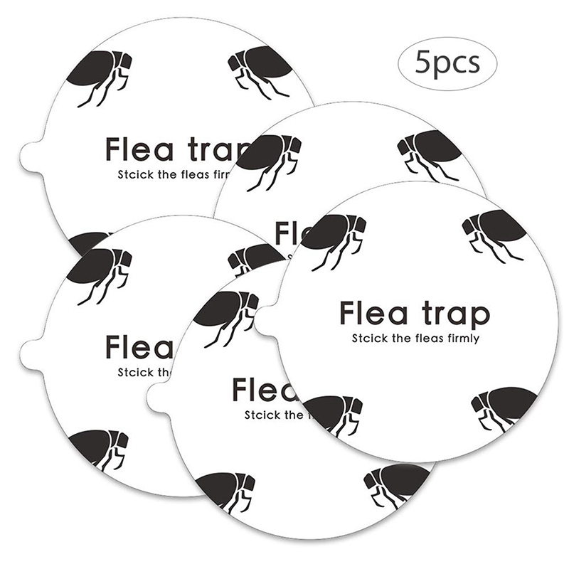 Flea Hazards Explained: How to Effectively Eliminate Fleas Using Traps and Lures 1 Flea trap refill 4