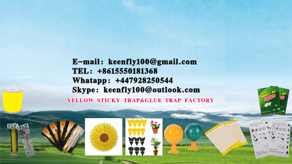 Производитель оконных ловушек