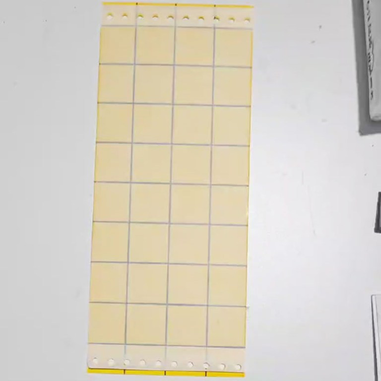 yellow sticky traps
