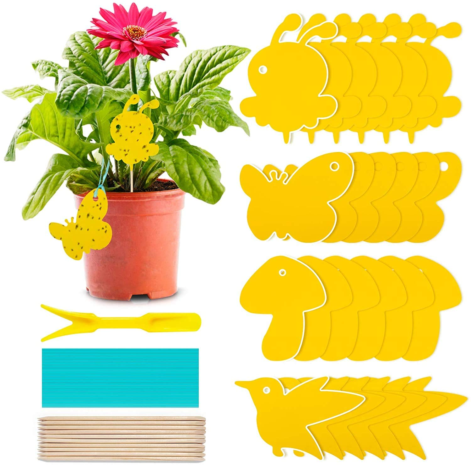 Window Fly Trap - Private Label OEM for PCOs - Wholesale OEM Factory 1 Window Fly Trap - Private Label OEM for PCOs - Wholesale OEM Factory