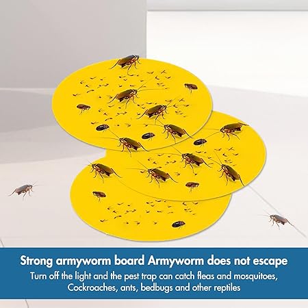 Indoor and Outdoor Flea Traps: How to Create a Flea-Free Home 2 Flea trap