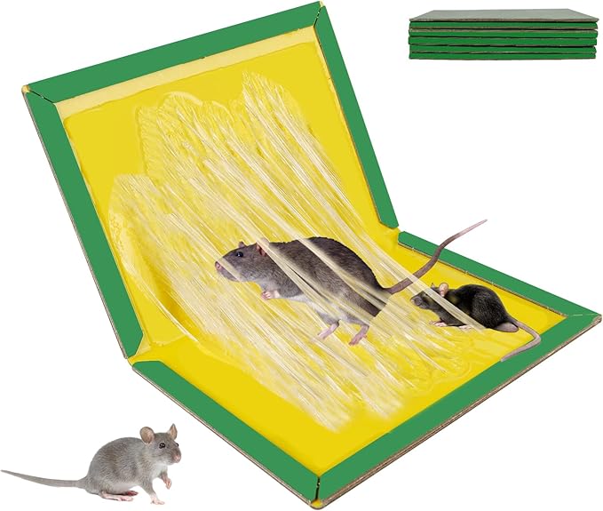 Powerful Sticky Mouse Traps: The Perfect Solution for Effectively Capturing and Controlling Rodent Pests 1 Mouse Trap