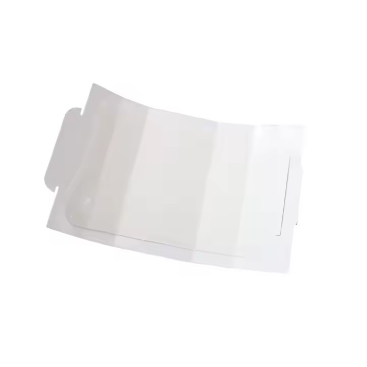 Mouse Glue Trap