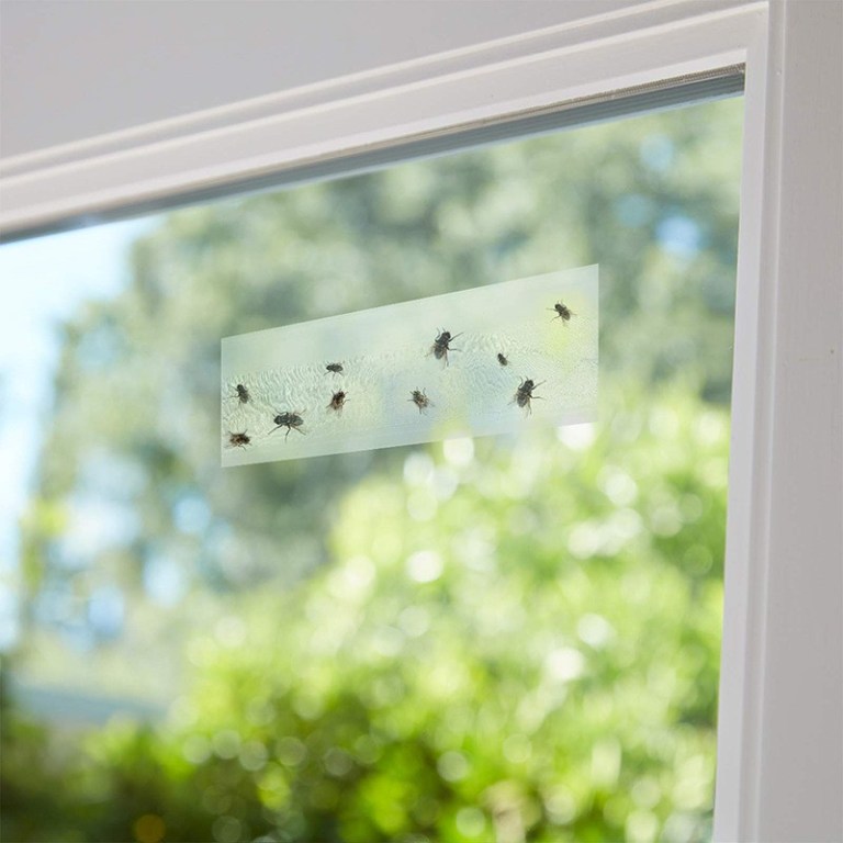 Indoor Fly Catcher Sticker: Window-Safe Fly Trap for a Clean Home