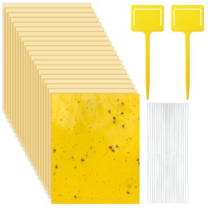 Sticky Fruit Fly Trap, Double-Sided Adhesive Trap, 20x25cm