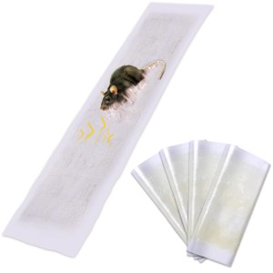 mouse glue trap