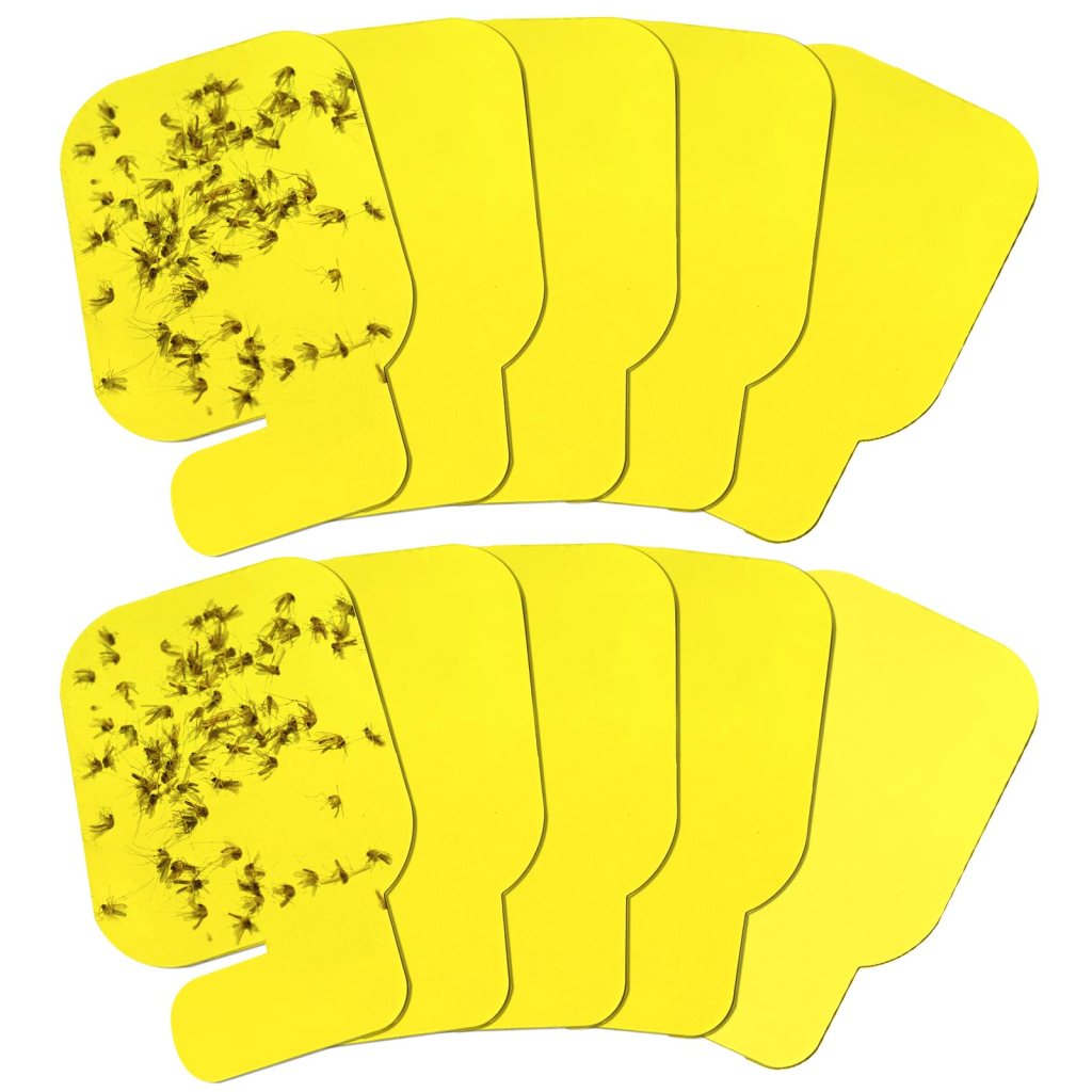 Bulk Order UV Fly Trap Pads for Effective Insect Control 1 UV fly trap pads