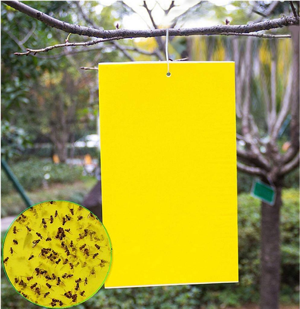 Double-Sided Yellow Sticky Trap for Capturing Flying Plant Insects 1 image 11