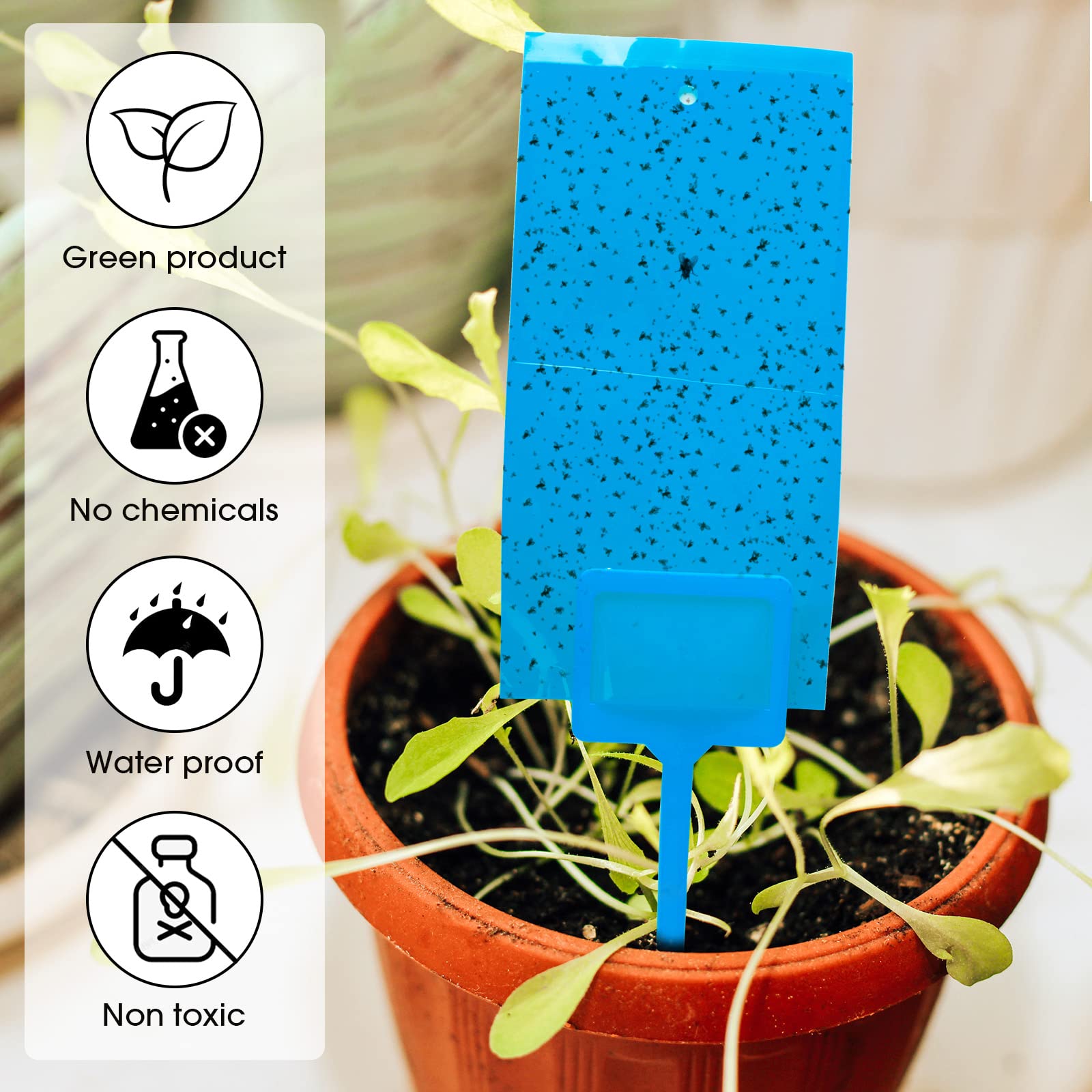 Blue Sticky Insect Trap 20x10cm, 20-Pack 11 image 3 17