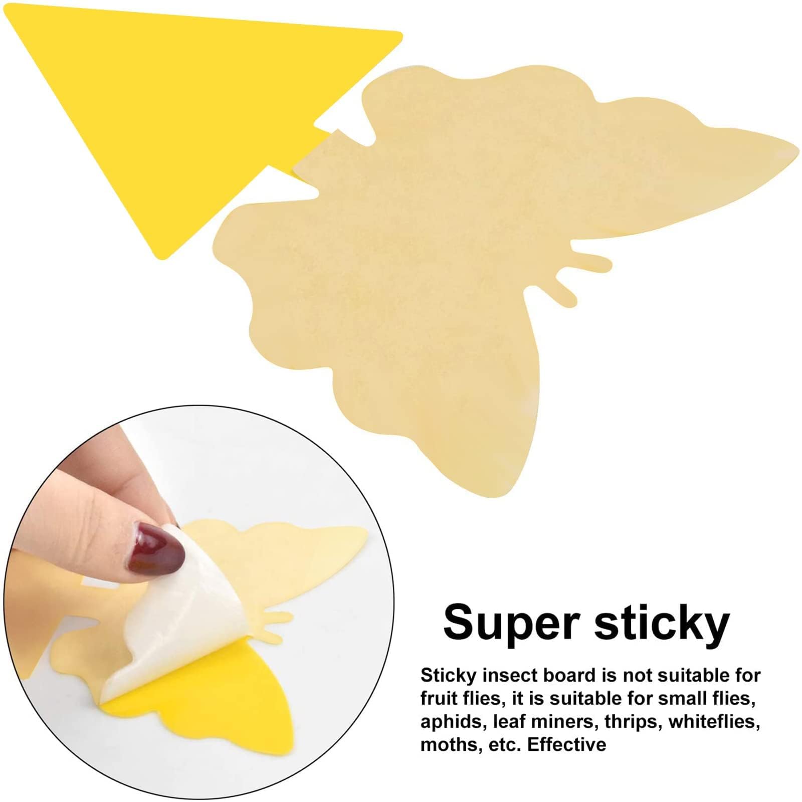 مصائد لاصقة مزدوجة الجوانب مصائد ذبابة الفاكهة مصائد الحشرات 6 × 8 بوصة قابلة للتخصيص Double-Sided Sticky Traps, Fruit Fly Traps, Bug Traps 6x8 Inches, Customizable - الصورة 2