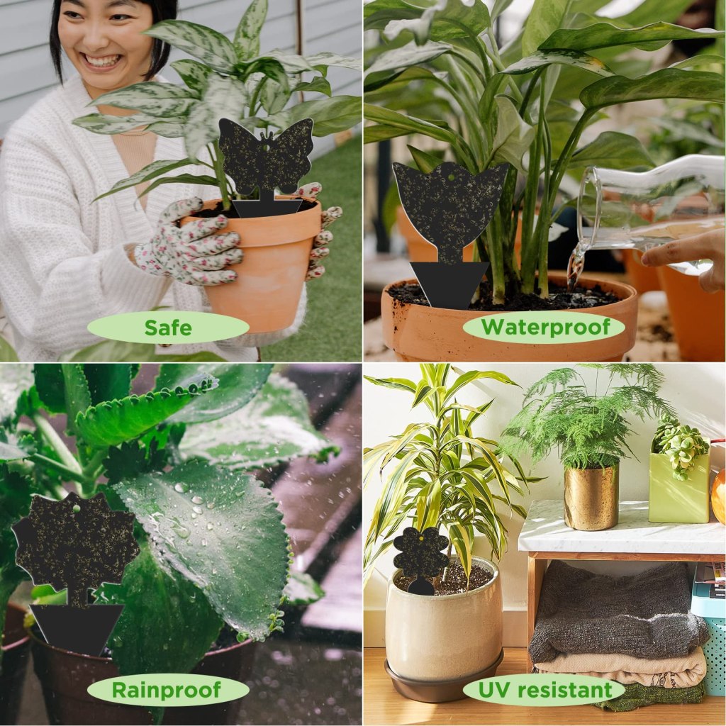 Enhancing Orchard Health: The Advantages of Custom Fruit Fly Glue Traps 2 Fruit Fly Glue Traps