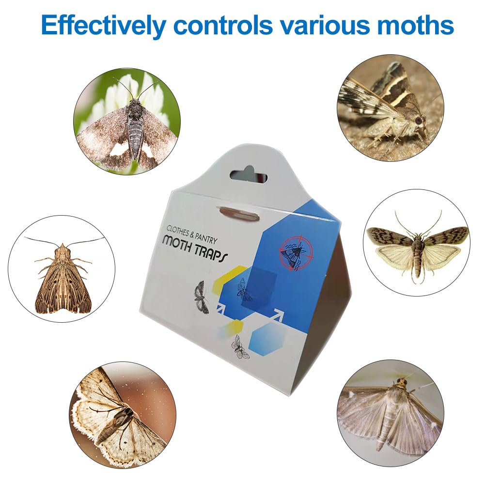 Indoor Moth Traps