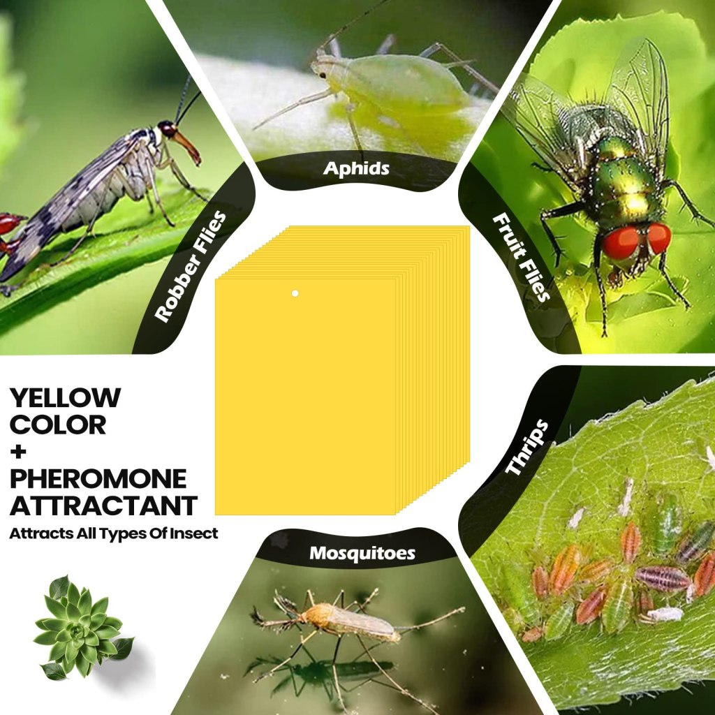 Double-Sided Yellow Sticky Trap for Capturing Flying Plant Insects 2 image 6 6