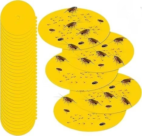 Indoor and Outdoor Flea Traps: How to Create a Flea-Free Home 1 Flea Trap