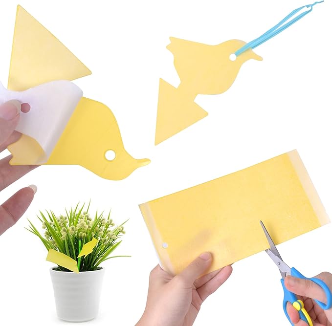 Diseño perforado de las trampas adhesivas: una solución innovadora para mejorar la eficacia de la captura Trampas adhesivas