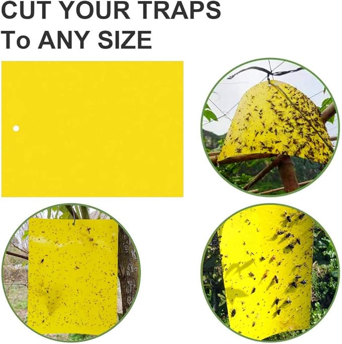 Blue Thrips Sticky Trap 8 Sticky insect traps