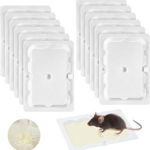 Mouse glue trap