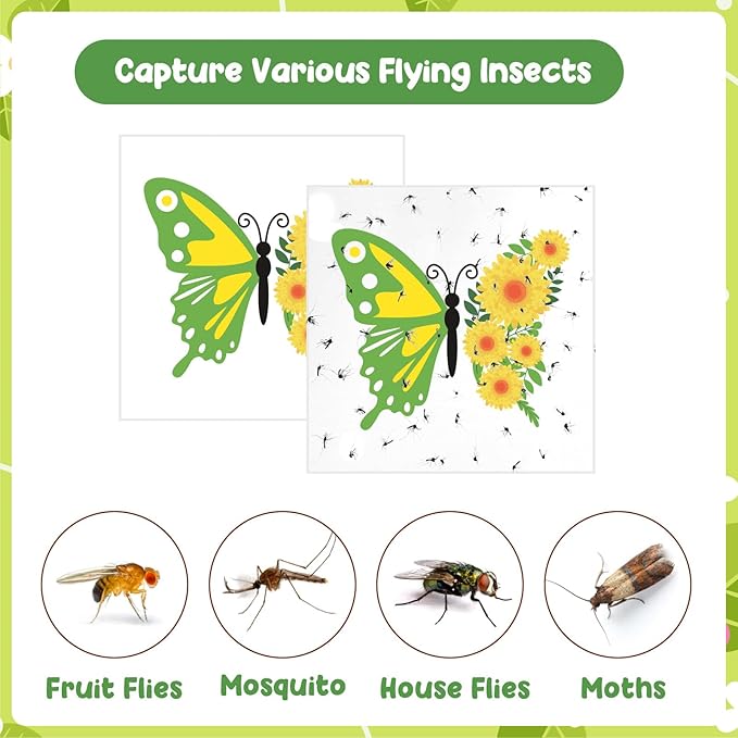 A New Era in Home Protection: How Window Fly Catchers Make Your Home Safer 2 Fly Catchers