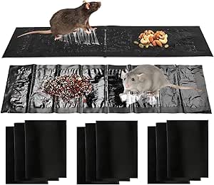 Mouse Glue Traps