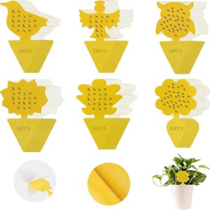 Yellow Sticky Traps