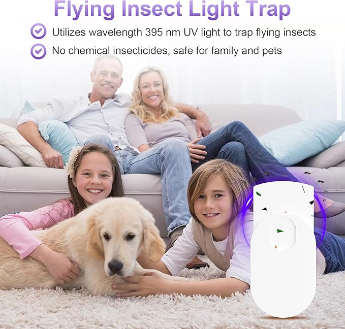 Yellow Sticky Insect Trap for Indoor Household 11 Flying Insect Trap