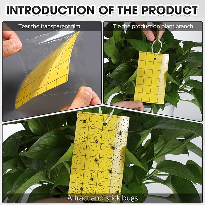 20*10 cm Custom Sticky Insect Traps Wholesale, Suitable for Greenhouses, Farmlands, Orchards, and More 3 Pièges collants à insectes