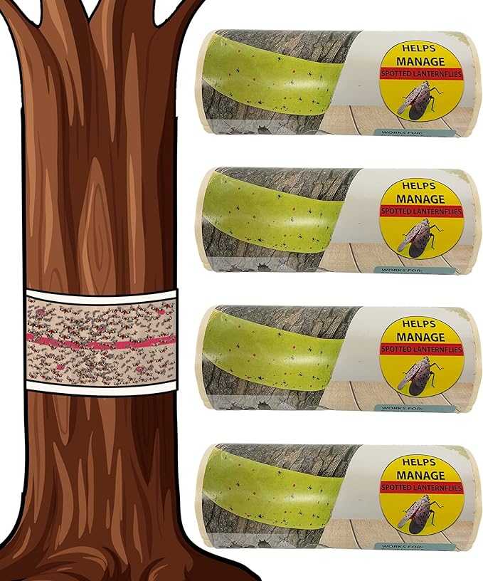 A Quick and Effective Pest Control Method: Sticky Fly Traps 1 Sticky fly traps