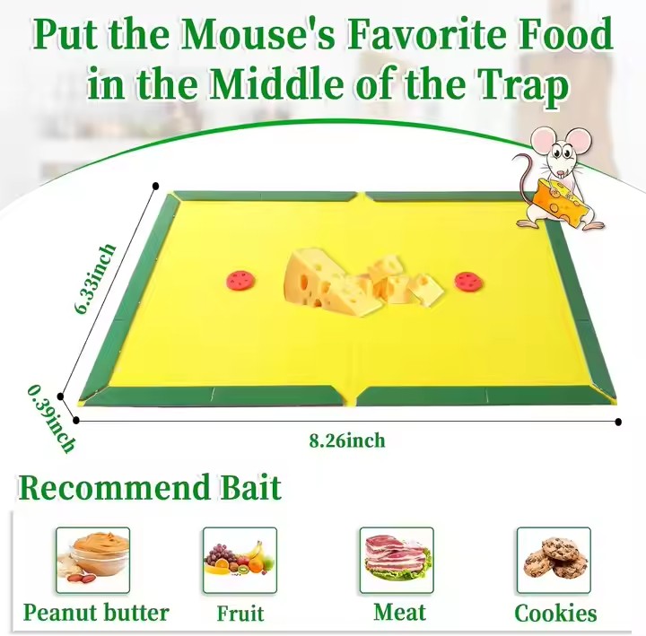 Chemical-Free Rodent Control: Mouse Glue Traps for a Healthier Life 1 Mouse Glue Traps