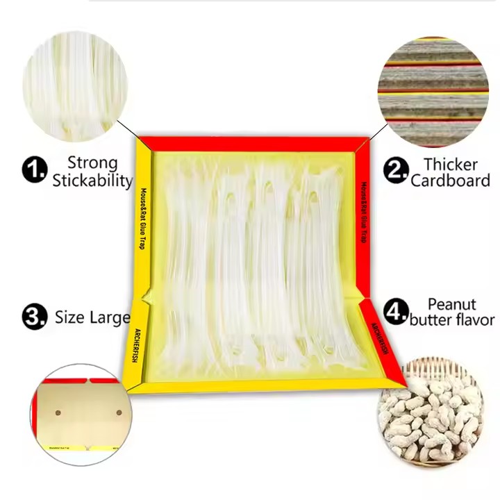 The Amazing Effect of Sticky Mouse Traps: Avoid Chemicals and Easily Solve Pest Problems 1 Sticky Mouse Traps