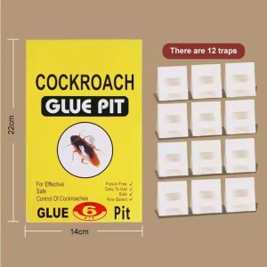 Cockroach Traps