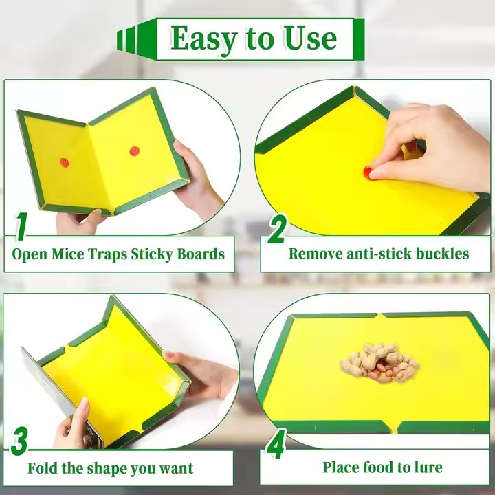 Chemical-Free Rodent Control: Mouse Glue Traps for a Healthier Life 2 Mouse Glue Traps