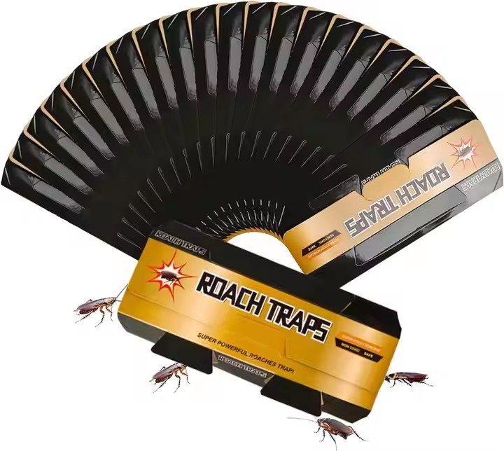 Cockroach Trap