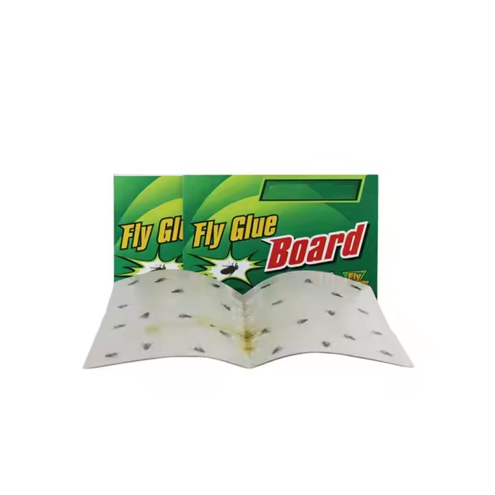 Fly Paper