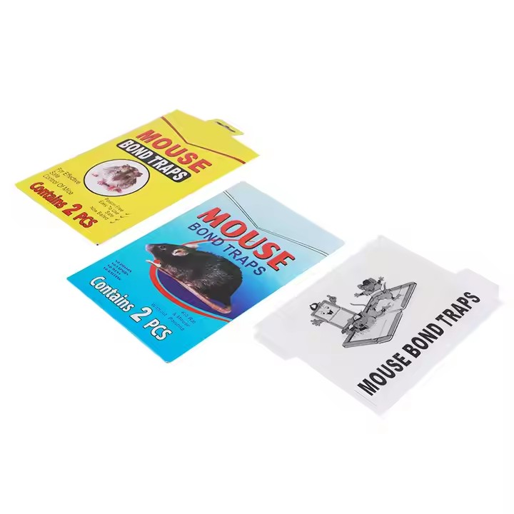 Multi-Purpose Protection: How Glue Traps Make Your Home Safer 1 Glue Traps