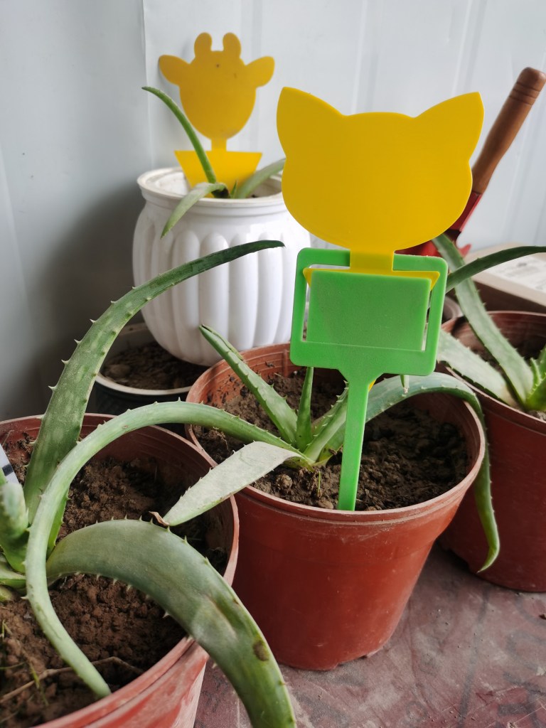 How to Use Yellow Sticky Traps and Ground Stakes for Pest Control 1 Yellow Sticky Traps