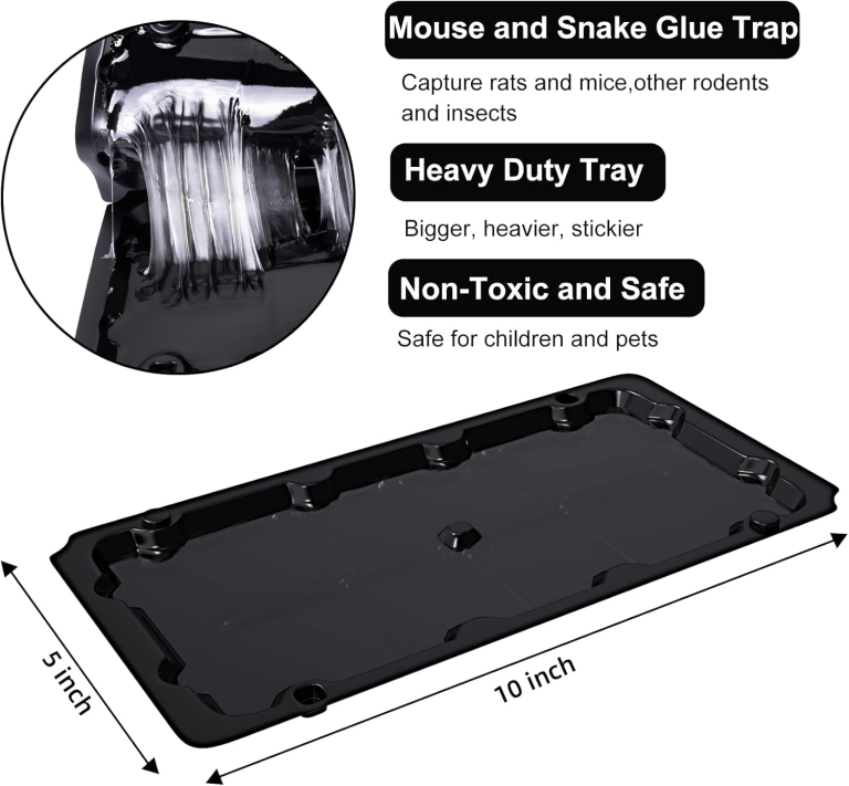 Sticky Mouse Traps
