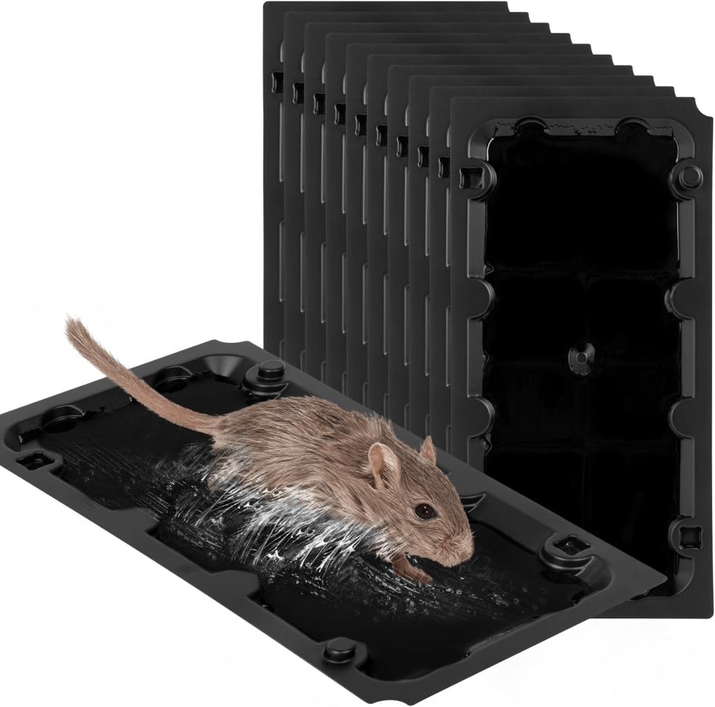 More Than Just a Simple Trap: New Applications of Sticky Mouse Traps in Modern Homes 1 Sticky Mouse Traps
