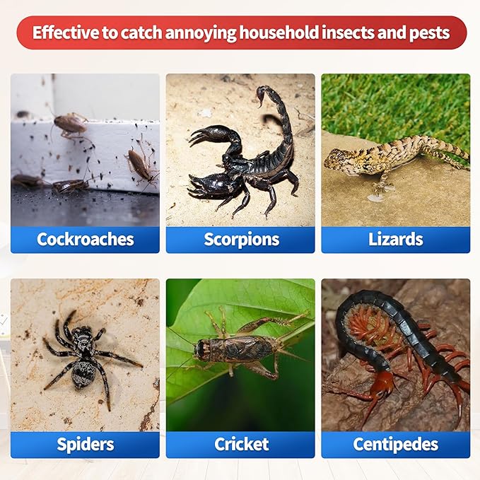 Trampas adhesivas para insectos, 30 juegos (10 unidades) — Trampas para cucarachas, arañas y grillos en interiores; control de plagas domésticas sin peligro para las mascotas Trampas adhesivas para insectos
