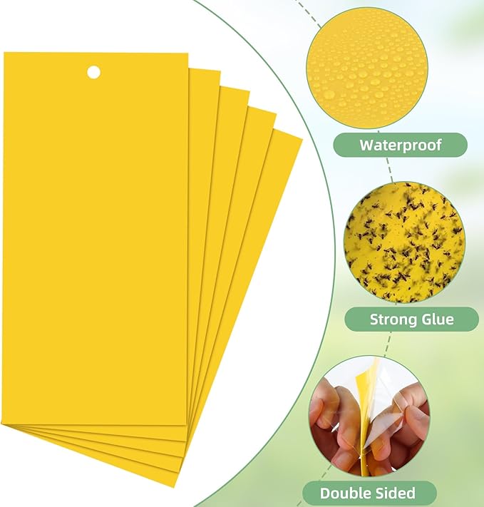 50 pieces of yellow sticky insect traps, yellow stickers, for combating indoor plants, fruit flies, aphids, and fungal gnats. 10 끈적끈적한 곤충 트랩