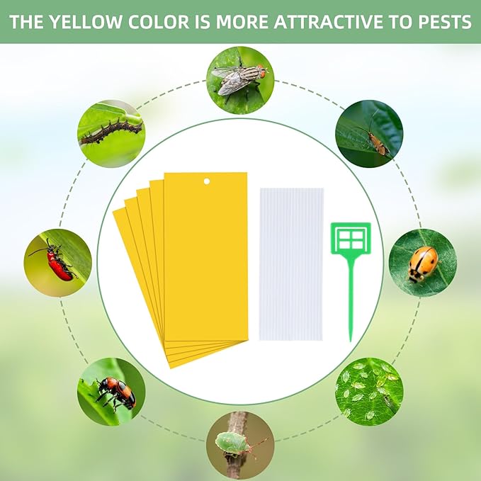 50 pieces of yellow sticky insect traps, yellow stickers, for combating indoor plants, fruit flies, aphids, and fungal gnats. 13 끈적끈적한 곤충 트랩
