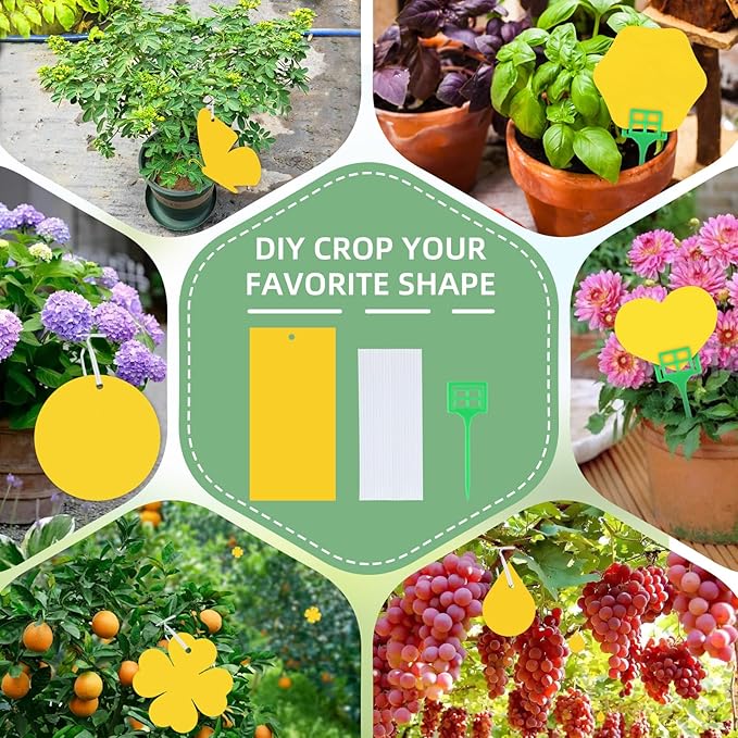 50 pieces of yellow sticky insect traps, yellow stickers, for combating indoor plants, fruit flies, aphids, and fungal gnats. 14 끈적끈적한 곤충 트랩