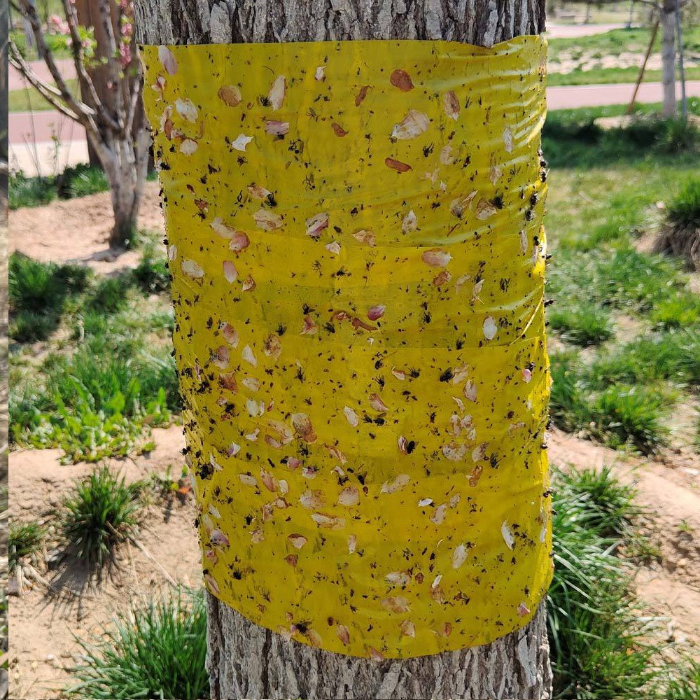 Double-Sided Fruit Tree Sticky Insect Tape, Self-Adhesive, 20 cm x 100 m, Insect Repellent Glue Ring, Suitable for Orchards, Farmlands, Greenbelts, and Greenhouses 2 粘着式虫取りトラップ