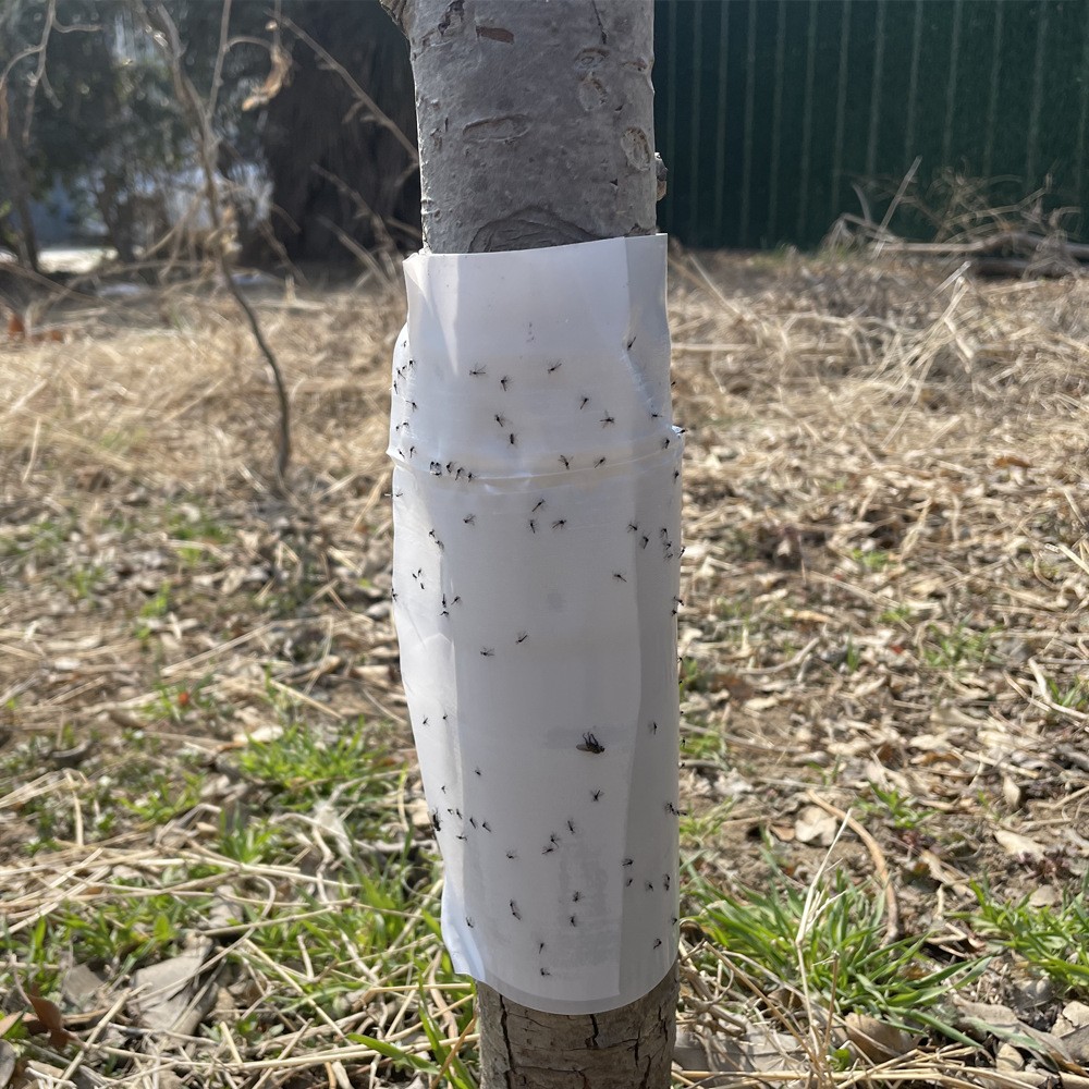 Double-Sided Fruit Tree Sticky Insect Tape, Self-Adhesive, 20 cm x 100 m, Insect Repellent Glue Ring, Suitable for Orchards, Farmlands, Greenbelts, and Greenhouses 3 Sticky insect tape
