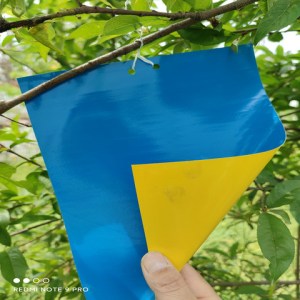 Blue plastic bag with a yellow inner layer being peeled back by a hand from a tree branch, surrounded by green leaves and branches.
