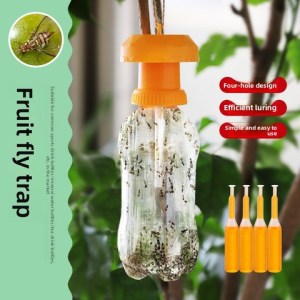 Fruit fly trap with orange cap hanging, shown with lure bottles on the right and a green label reading 'Fruit fly trap'—pest control device for homes and gardens.