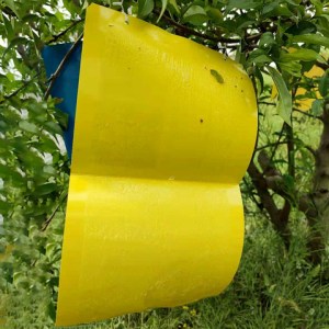 Bright yellow curved plastic sheet hanging from a tree branch in a garden.