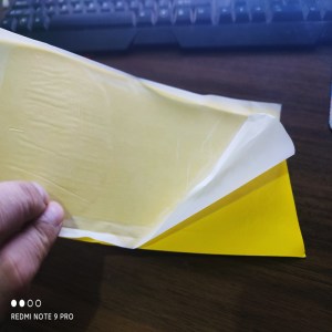 Yellow Sticky Trap A5 15x20cm PP — OEM Manufacturer